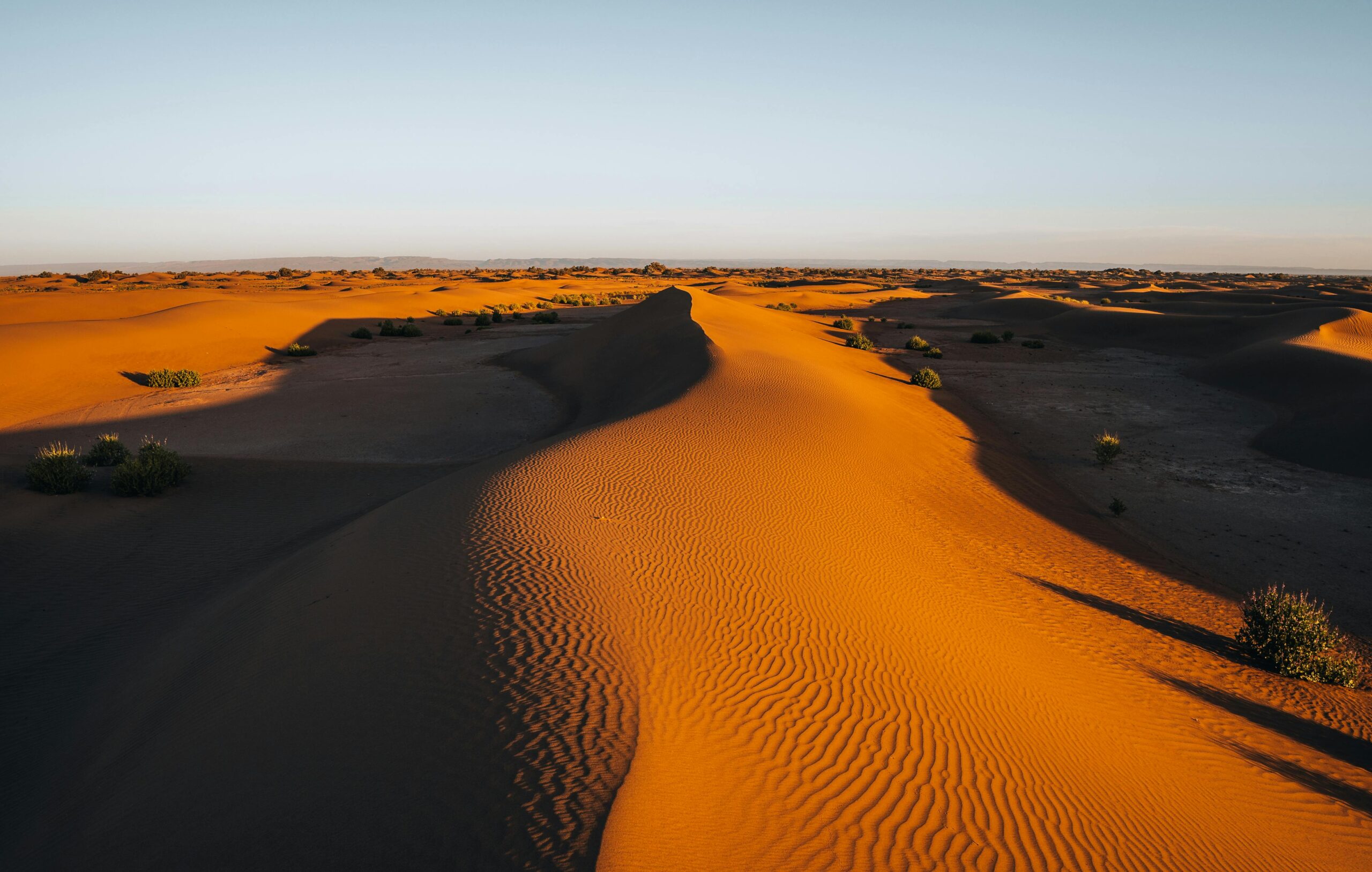 sahara desert flooding